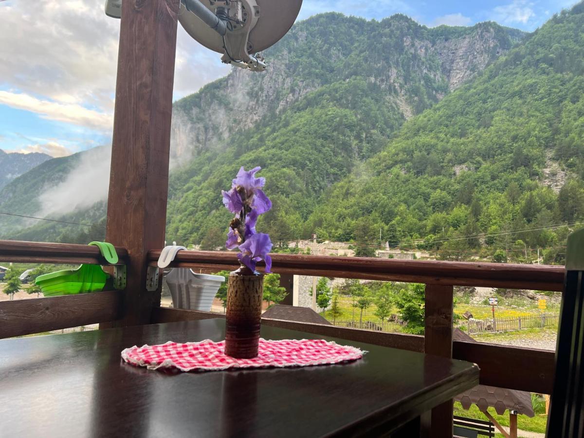 Guesthouse Villa Gurra Теті Екстер'єр фото